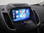 Ford C-Max 1.5 Titanium AUTOM. TREKH|PANODAK|ACC|BLIS|SONY|WINTERPACK|ELEK.ACHTERKLEP