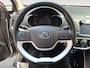 Kia Picanto 1.0 CVVT EconomyPlusLine NAVIGATIE | TREKHAAK | AIRCO | 12 MAANDEN BOVAG GARANTIE