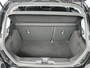 Ford Fiesta 1.0 EcoBoost Titanium | Winter Pack | Carplay/Android Auto | Parkeersensoren |