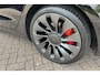 Tesla Model 3 Performance AWD 75 kWh I BTW I NL Auto