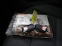 Kia Niro Hybrid 1.6 GDi DynamicLine | Navigatie | Cruise Control Adaptief | Parkeercamera | Climate Control |