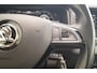 Skoda Karoq 1.0 TSI 115pk DSG Ambition Business -PANO-ECC-NAVI-