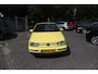 Volkswagen Golf Cabriolet 1.8 SCHUURVONDST