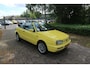 Volkswagen Golf Cabriolet 1.8 SCHUURVONDST