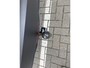 Toyota C-HR / C-HR+ 1.8 Hybrid Premium