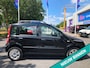 Fiat Panda 1.2 Edizione Cool