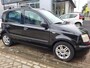 Fiat Panda 1.2 Edizione Cool
