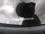 Skoda Octavia Combi 2.0 CRDTi CLEVER DSG CLIMA | LED | ** 10999 NETTO **