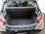 Peugeot 208 1.2 PureTech Blue Lion Clean 20-7 MA EERST VOOR INSPECTIE!!!