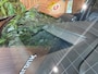 Nissan Qashqai 1.3 MHEV Xtronic Tekna Plus 360 cam pannorama head up