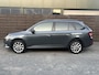 Skoda Fabia Combi 1.0 Business Edition / Pano / Trekhaak / LM / NAP