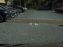 BMW X1 xDrive25e Executive CAMERA/NAVI/HEAD-UP