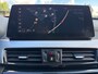 BMW X1 xDrive25e Executive CAMERA/NAVI/HEAD-UP