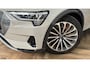 Audi E-tron E-tron 55 quattro advanced Pro Line Plus 95 kWh|PANO|HUD|B&O|