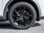 CUPRA Formentor 1.4 e-Hybrid // Proefrit Mogelijk