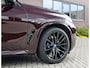 BMW X5 50e xDrive | Individual - Skylounge - Trekhaak