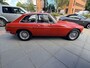 MG MG C MGC GT