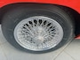 MG MG C MGC GT