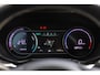 Kia Niro EV E-Niro DynamicPlusLine 64 kWh Open dak