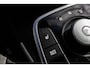 Kia Niro EV E-Niro DynamicPlusLine 64 kWh Open dak