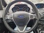 Ford B-Max 1.0 EcoBoost Titanium Panoramadak