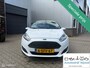 Ford Fiesta 1.0 EcoBoost Titanium, nazomeractie!