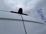 Mercedes-Benz Sprinter 313 2.2 CDI  433 L3H2