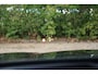 BMW 5-Serie 530e xDrive High Executive M-Sport | Pano | HUD | H&K | 360 | Drive Ass Pro | Memory | Keyless | Alarm kl.3 | Comf. stoelen | Etc.