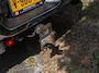 Dodge Ram 1500 5.7 V8 Quad Cab 6'4 - PANORAMADAK - STOEL VERW / VERKOEL - STUUR VERW - FULL OPTION !