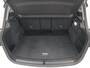 BMW 2-Serie Active Tourer 218d Executive AUTOMAAT / LEER+STOELVERW / CAMERA / CLIMA / CRUISE / LED / TREKHAAK