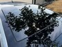 Volkswagen Golf 1.5 TSI 130pk 5deurs Comfortline Business Automaat Airco/ECC,Navi,Panoramadak,Virtueel Cockpit