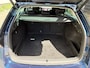Skoda Octavia Combi 1.0 e-TSI Business Edition / AUTOMAAT / NAVI / CRUISE / INCL BTW