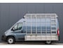 Fiat Ducato 30 2.3 MultiJEt L2H2 Glasresteel