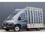 Fiat Ducato 30 2.3 MultiJEt L2H2 Glasresteel