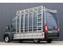 Fiat Ducato 30 2.3 MultiJEt L2H2 Glasresteel