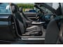 BMW 2-Serie Cabrio 220i Centennial High Executive