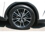 Toyota C-HR / C-HR+ 1.8 Hybrid Premium Excecutive, LEER, NAVIGATIE, CAMERA, LED,
