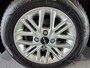 Kia Picanto 1.0 DPi DynamicLine | Camera | Navigatie via Apple of Android Auto | Lichtmetalen Velgen | STAAT NIET OP LOCATIE//STAAT OP P4