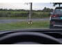 Skoda Enyaq iV 60 SOH 91.38% Panoramadak | Achteruitrijcamera | Head Up | Leyless | Cruise control adaptief met stop&go