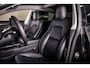 Tesla Model 3 Performance AWD 75 kWh|Matte Gespoten|Uniek|Zeer netjes