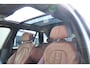 BMW X5 xDrive40d High Executive | Panoramadak |