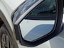 Nissan Leaf Evolve 52 kWh NU 10 JAAR GARANTIE! / PANODAK / BOSE / TWO-TONE METALLIC