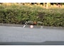Audi RS6 A6 Avant TFSI quattro performance Pano Urban Carbon Stoelkoel B&O Leder