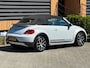 Volkswagen Beetle Cabriolet 1.4 TSI Dune / White Silver /