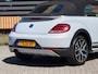 Volkswagen Beetle Cabriolet 1.4 TSI Dune / White Silver /
