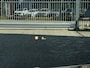 BMW X1 sDrive20i VDL Nedcar Edition | Trekhaak | Camera | Leder | Head-Up Display | Navi | Stoelverwarming | Elektrische achterklep | LED | 12 maanden Bovag Garantie