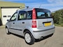 Fiat Panda 1.2 Dynamic AUT! Carplay! Apk 05-2027! SUMMER SALE!