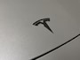Tesla Model 3 Standard RWD Plus 60 kWh | Panoramadak | zwart leer | ACC