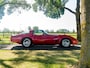 Chevrolet Corvette T-Roof/Targa 1 YZ 87