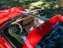 Chevrolet Corvette T-Roof/Targa 1 YZ 87